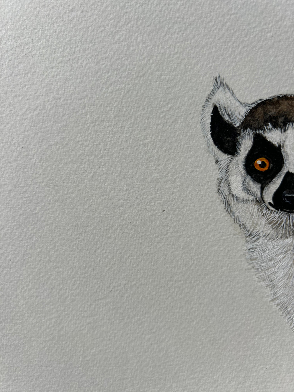 Original lemur watercolour painting A3