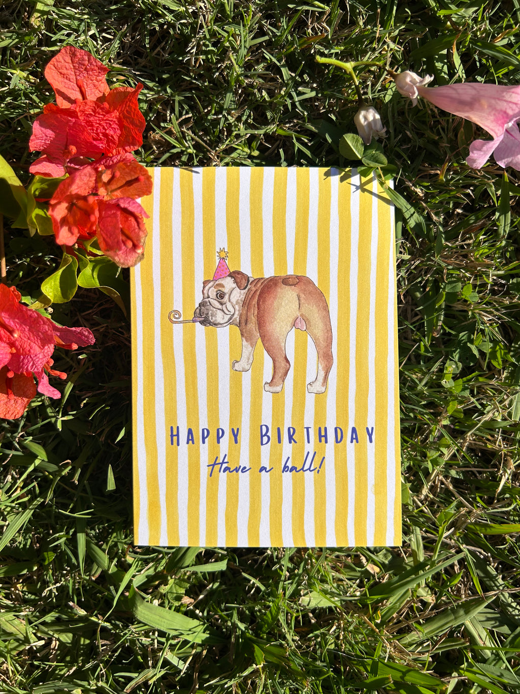 'HAPPY BIRTHDAY HAVE A BALL' greeting card