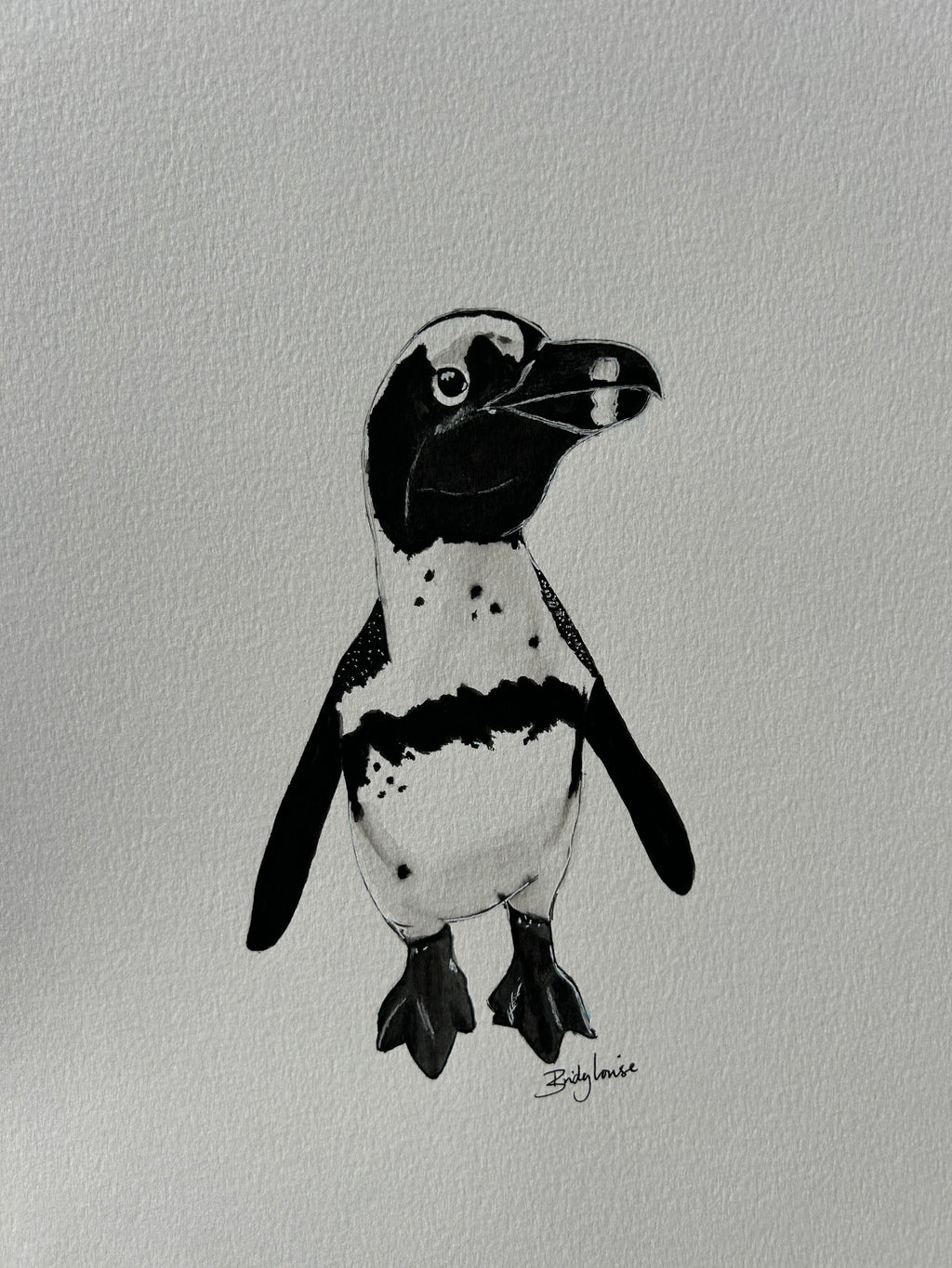 Original watercolour cape penguin