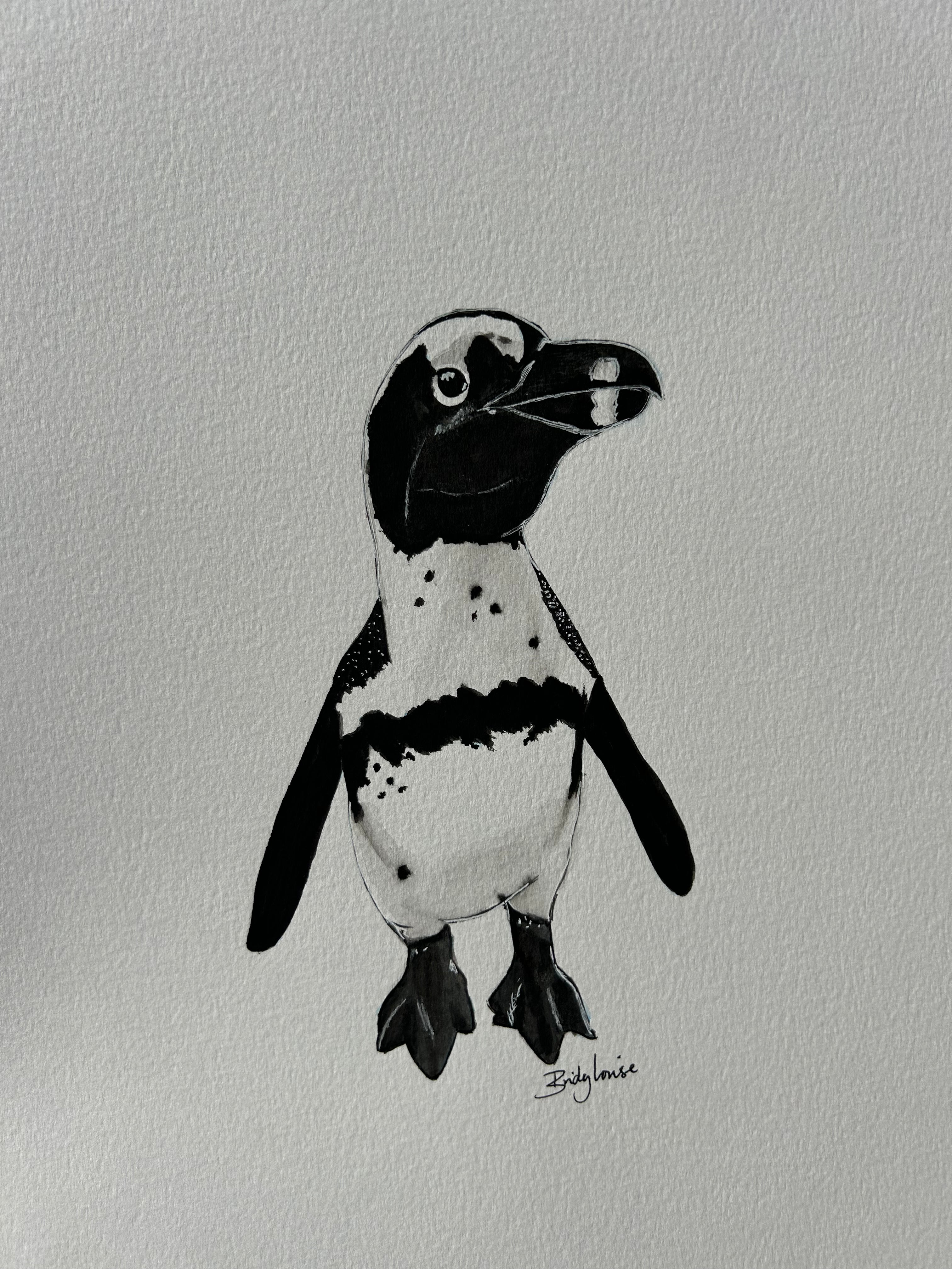 Original watercolour cape penguin
