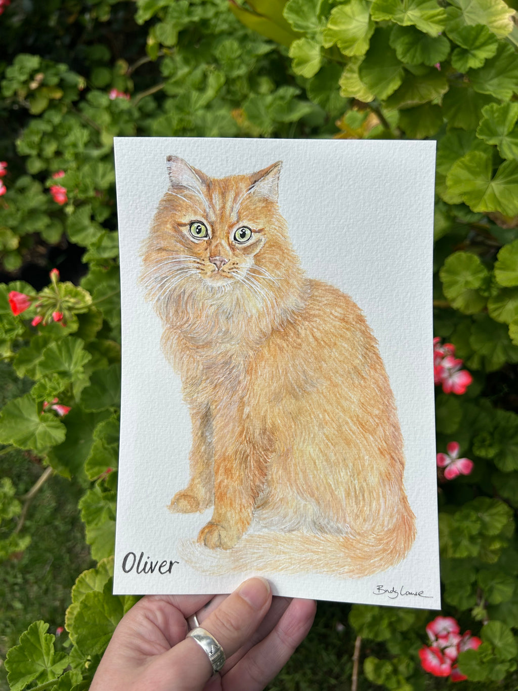 Custom Pet Portrait