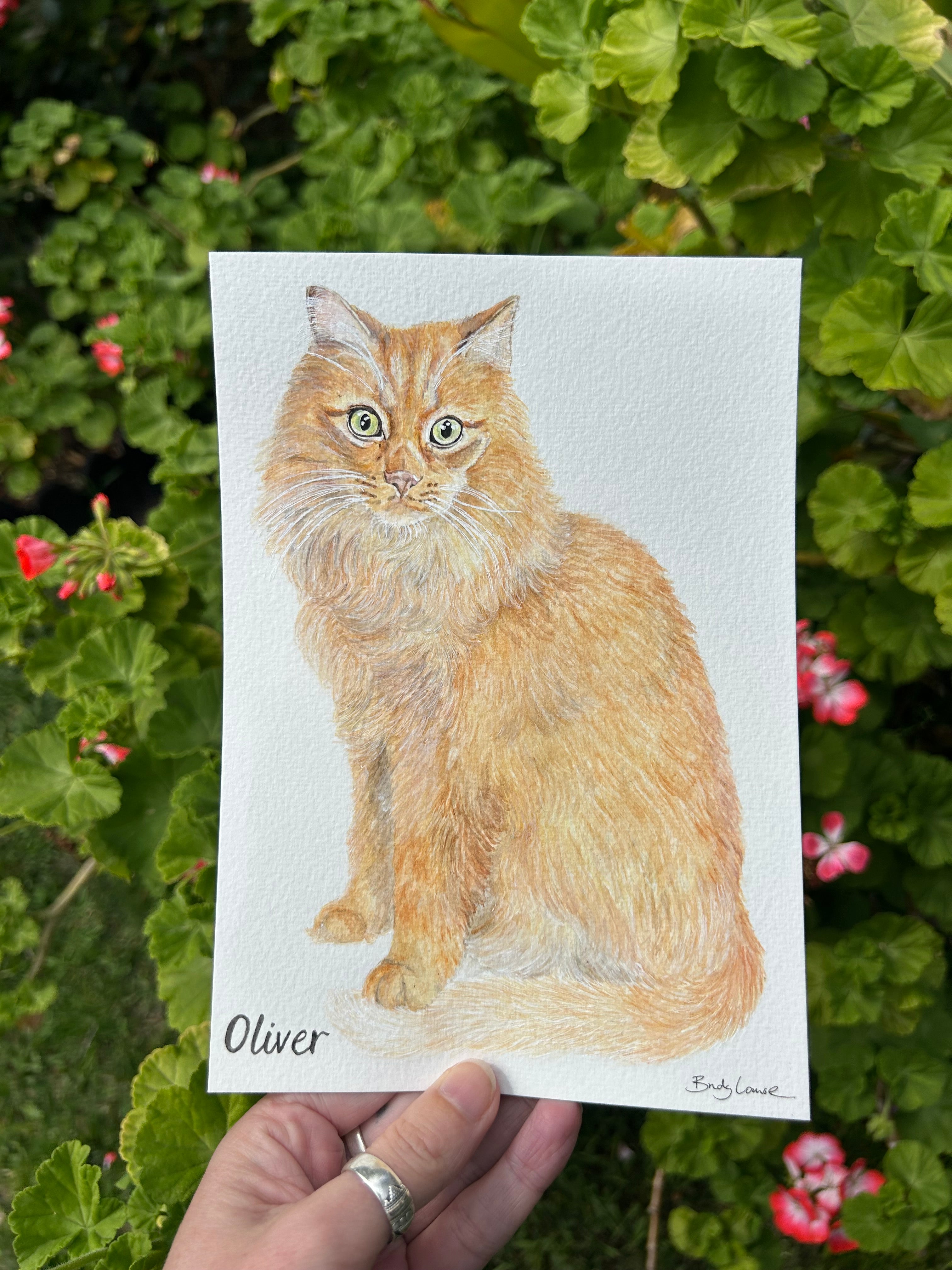 Custom Pet Portrait