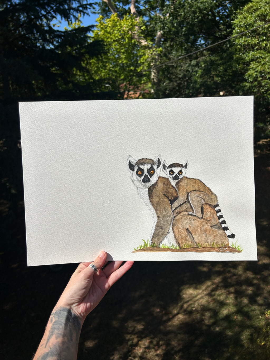 Original lemur watercolour painting A3
