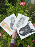 Custom Pet Portrait