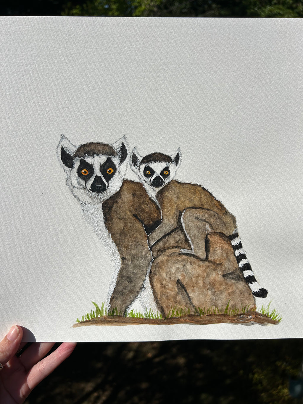 Original lemur watercolour painting A3