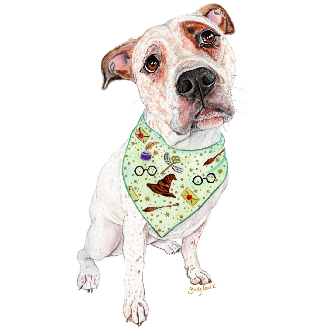 Custom Pet Portrait